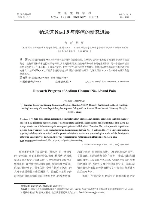 钠通道NaV1.9与疼痛的研究进展