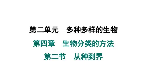 2024年人教版七年级生物上册 第四章 第二节 从种到界(训练课件)