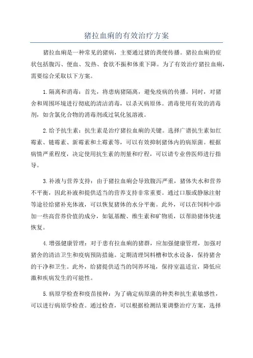 猪拉血痢的有效治疗方案