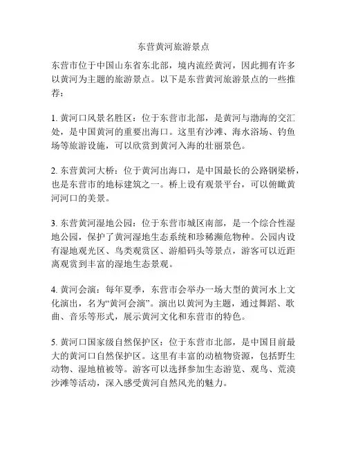 东营黄河旅游景点