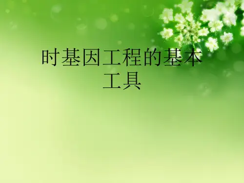 时基因工程的基本工具优秀课件