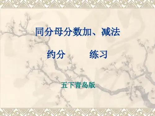 同分母分数加减法练习题