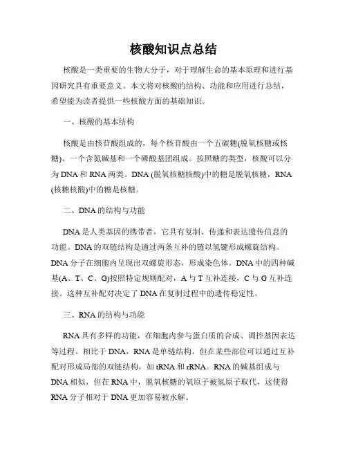 核酸知识点总结