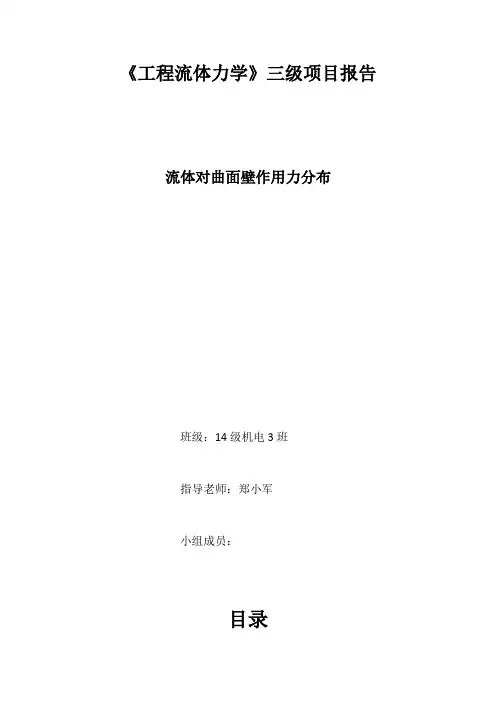 流体力学三级项目