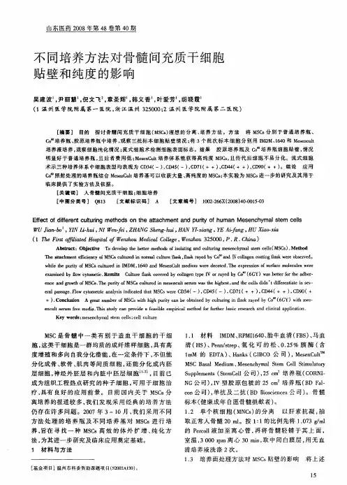 不同培养方法对骨髓间充质干细胞贴壁和纯度的影响