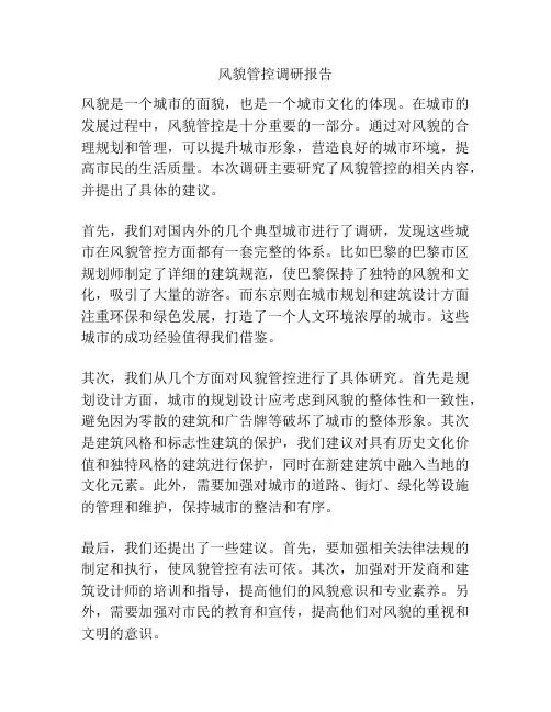 风貌管控调研报告