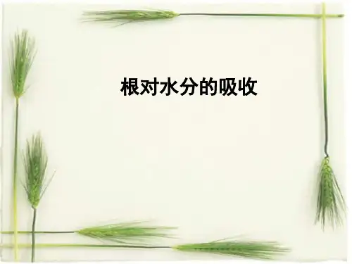 冀少儿版八年级上册生物：第二节 根对水分的吸收》