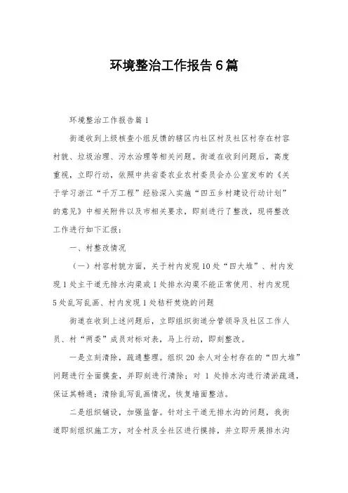 环境整治工作报告6篇