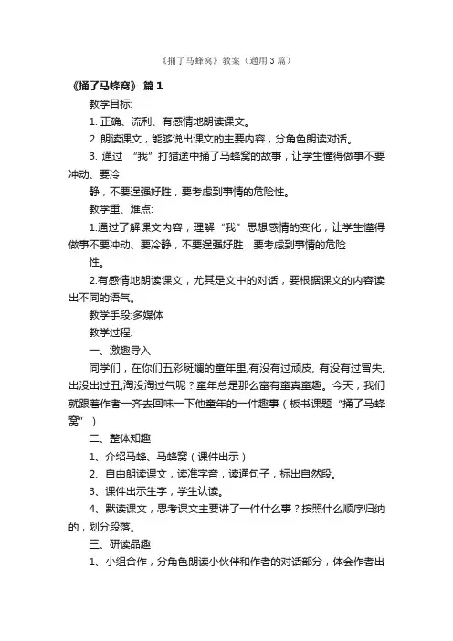 《捅了马蜂窝》教案（通用3篇）