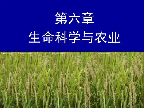 粮食安全的概念
