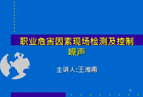 噪声(简体版)--王湘甫