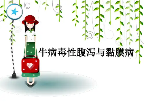 牛病毒性腹泻与粘膜病精品PPT课件