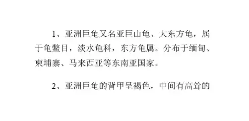 大东方龟(亚洲巨龟)