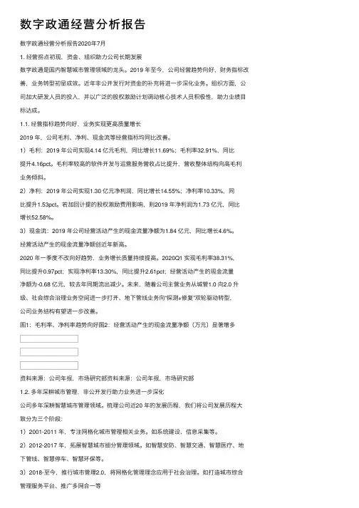 数字政通经营分析报告