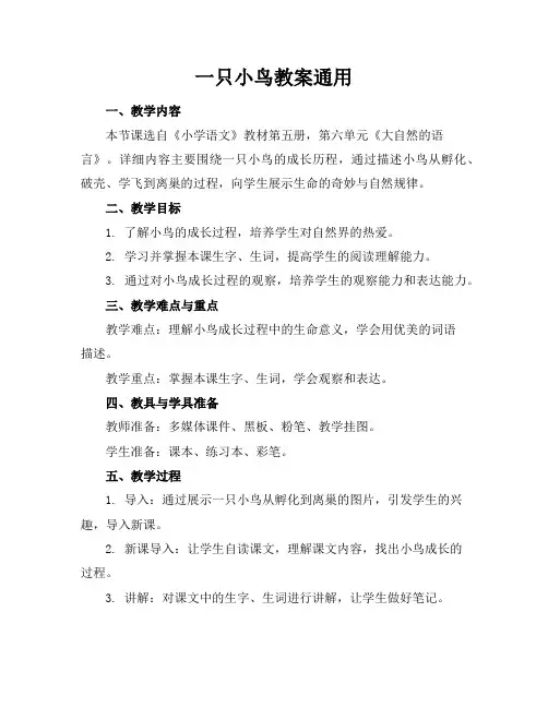一只小鸟教案通用