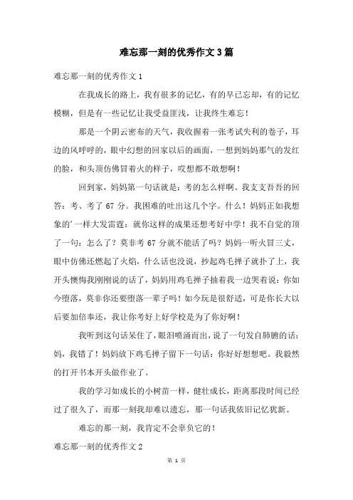 难忘那一刻的优秀作文3篇