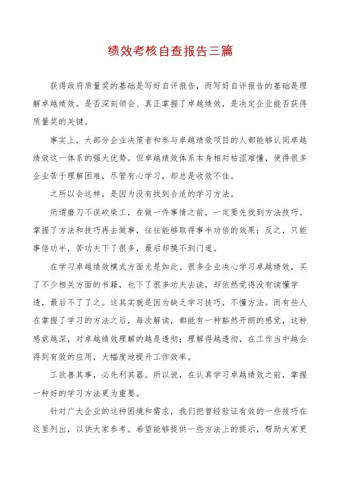 绩效考核自查报告三篇