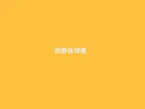 颈静脉球瘤的影像诊断