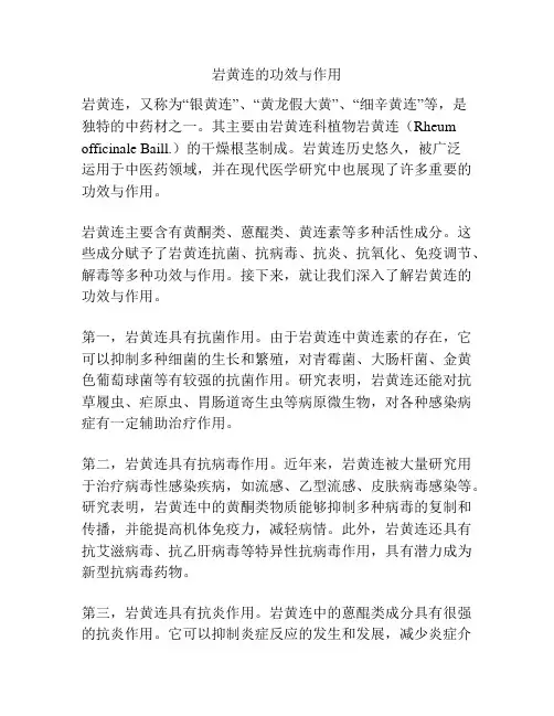 岩黄连的功效与作用