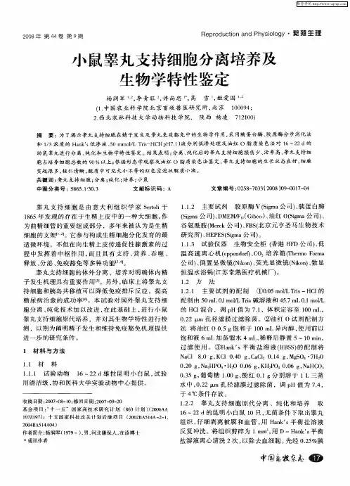 小鼠睾丸支持细胞分离培养及生物学特性鉴定