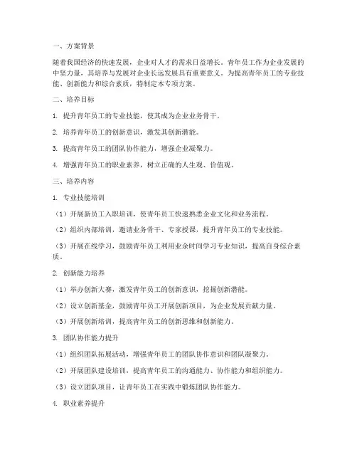 青年员工培养专项方案