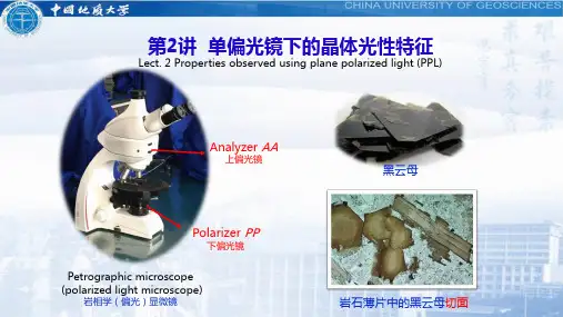 2 单偏光镜下的晶体光学特征_2020 (1)