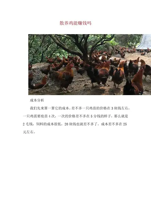 散养鸡能赚钱吗