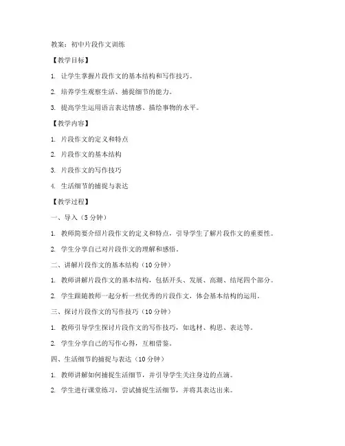 片段作文专题训练教案初中