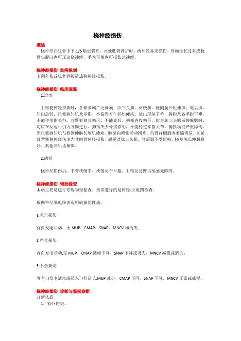 桡神经损伤(教学及宣教)