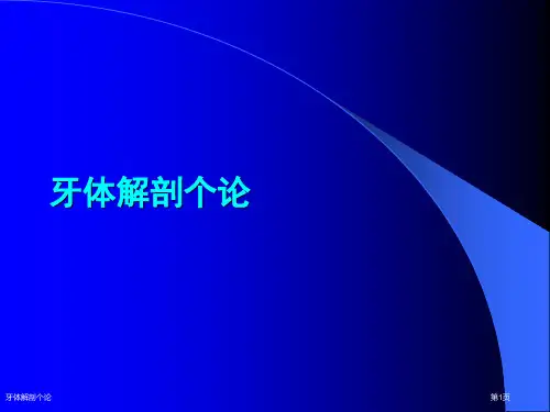 牙体解剖个论