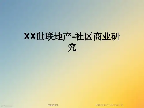 XX世联地产社区商业研究