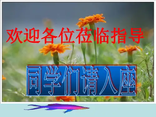 《最苦与最乐》ppt课件(21页)