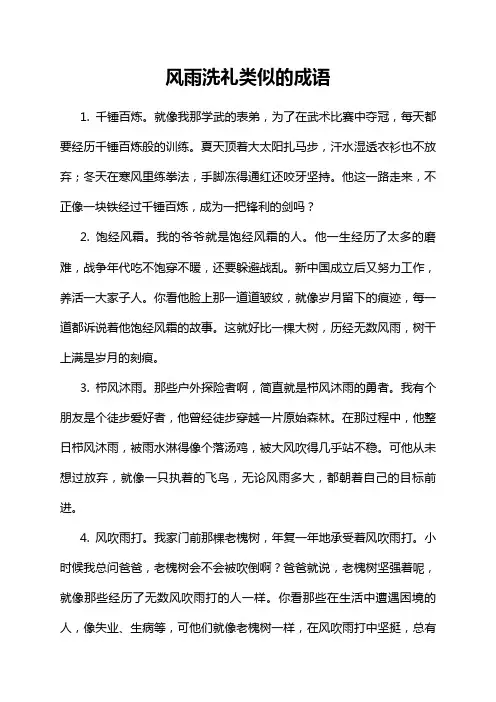 风雨洗礼类似的成语