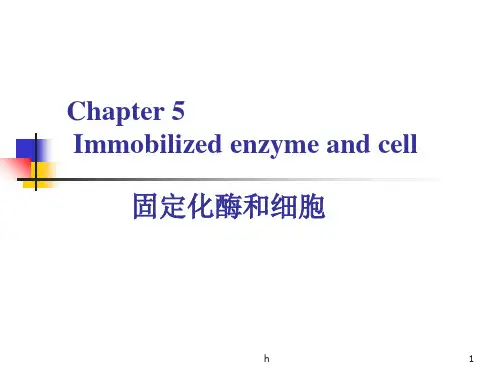 《固定化酶和细胞》PPT课件
