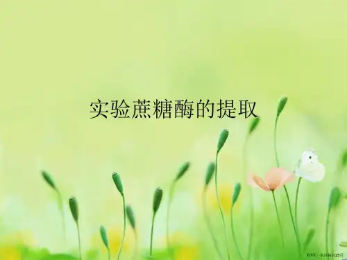 实验蔗糖酶的提取