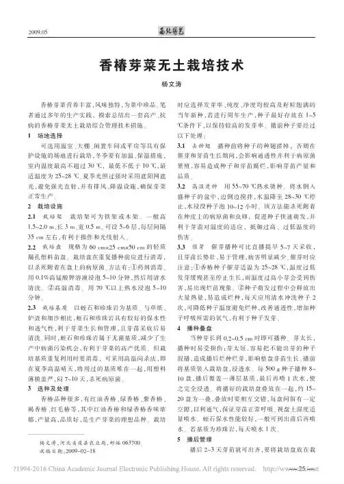 香椿芽菜无土栽培技术