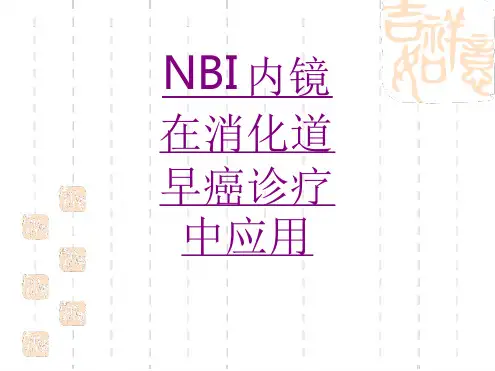 医学NBI内镜在消化道早癌诊疗中应用培训课件
