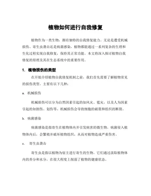 植物如何进行自我修复