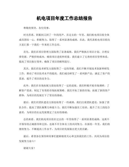 机电项目年度工作总结报告
