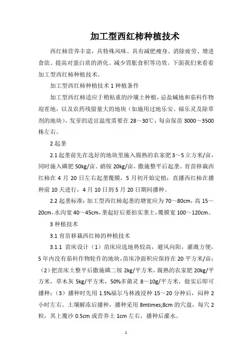 加工型西红柿种植技术
