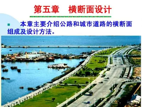 第五章 横断面设计