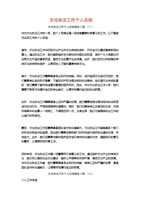 文化执法工作个人总结3篇