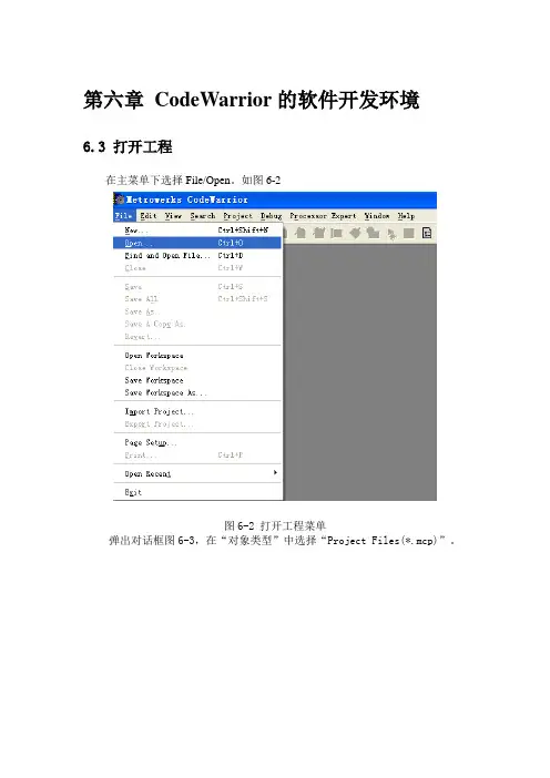 codewarrior的使用