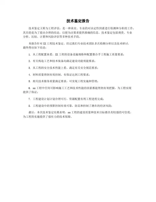 技术鉴定报告