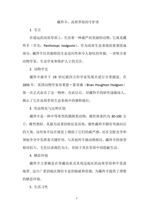 藏羚羊：高原草原的守护者
