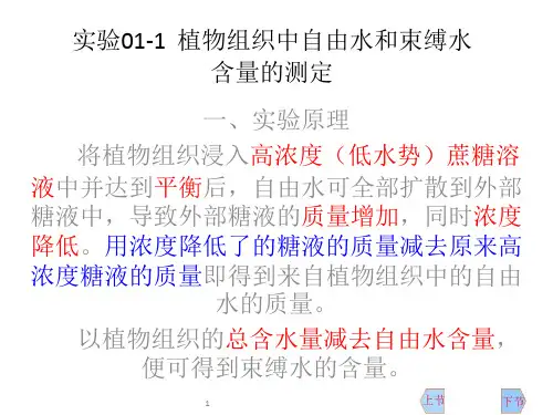 本科课件-植物生理学实验(完整)