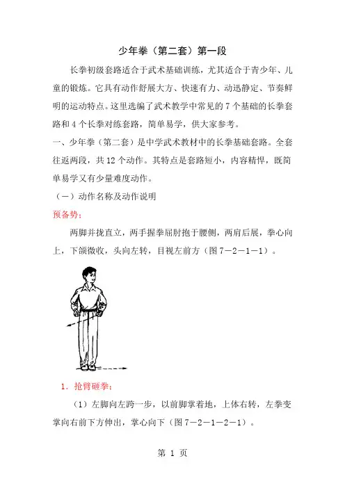 少年拳完整
