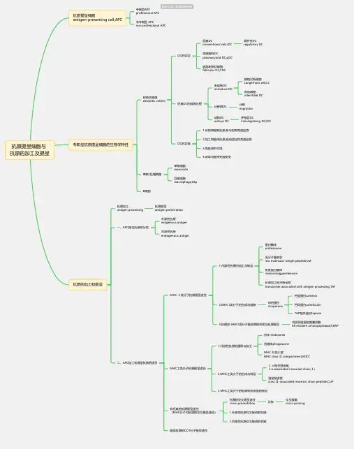 医学-抗原提呈细胞与抗原的加工及提呈思维导图-高清简单脑图模板-知犀思维导图