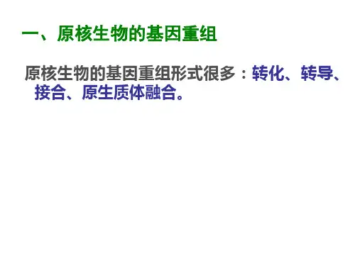 基因重组和杂交育种