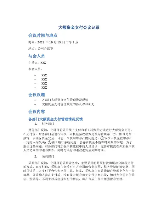 大额资金支付会议记录
